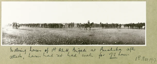 Watering horses of 1st A.L.H. Brigade at Beersheba after attack, horses had not had water for 72 hours, 1st November 1917